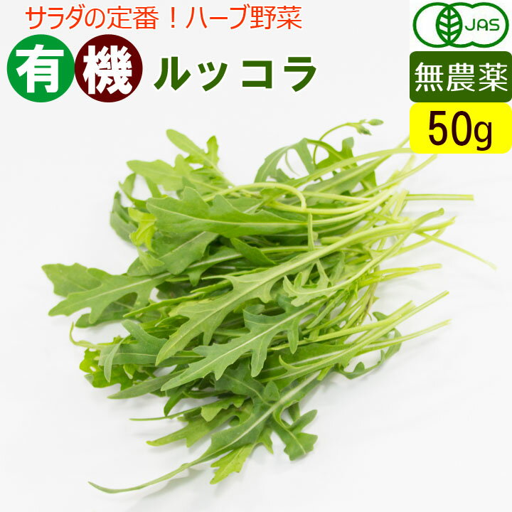 ロケットセルバチコ 1PAC （約50g）　【久保田農園　福岡産　あしらい　飾り　珍しい野菜　野菜　ハーブ】