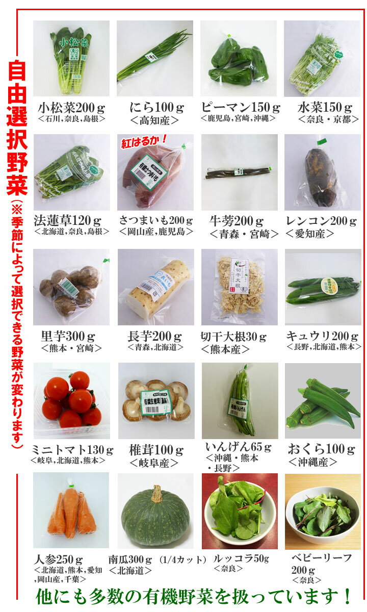 【1品ずつ個包装】無農薬 有機野菜セット 7品目 オーガニック 有機栽培 JAS認定　冷蔵便