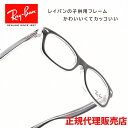 RAYBAN CoRB1528F-3529