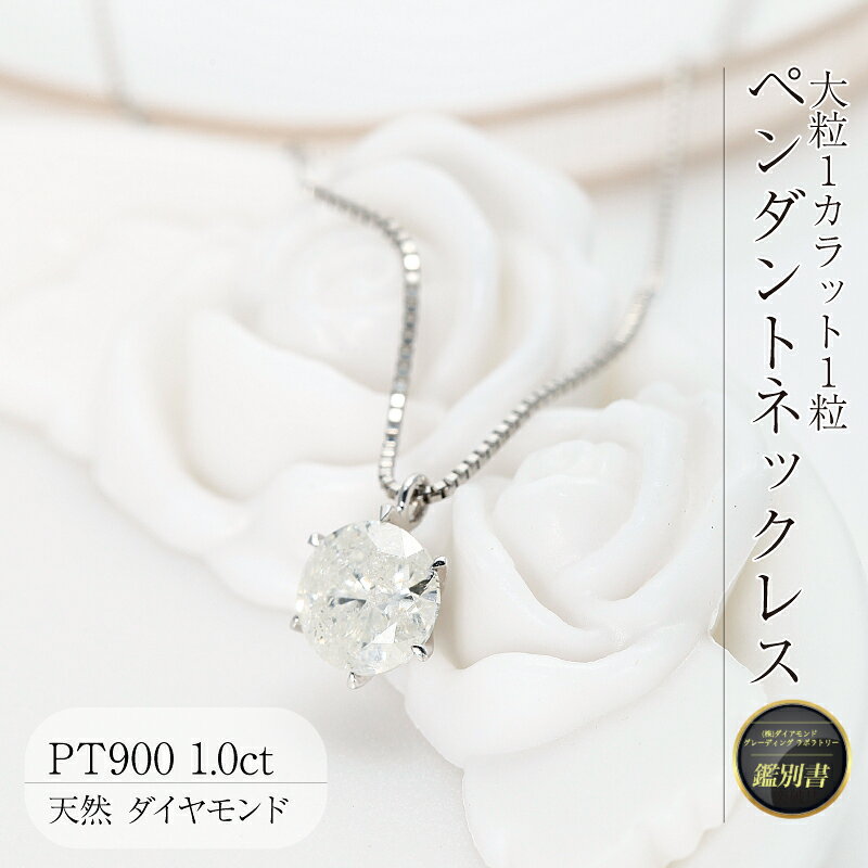 Deliciae 大粒1カラット1粒 ダイヤモンドペンダント ネックレス 6本爪 天然ダイヤモンド1ct pt900 鑑別書付 deliciae-10000608 Deliciae(デリシェ)ジュエリー サンプル画像3