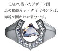 Deliciae リング 馬蹄タイプ 天然ダイヤモンド 馬の横顔カット【0.80ct】Pt900 中央宝石研究所鑑定書 15号〜21号【送料無料】プラチナ ダイ...