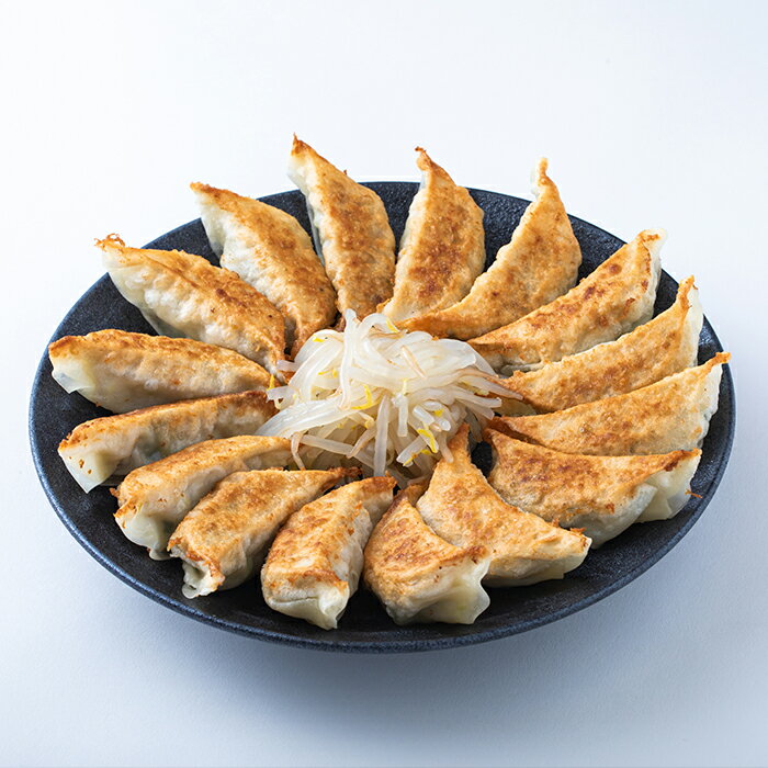 【浜松餃子・浜松ぎょうざの初代しげ】【送料無料】ご自宅向け★得々昼膳セット(8個入り/6パック:箱なし)【お取り寄せ名物グルメ中華点心お惣菜ギョウザB級グルメ】【RCP】02P03Dec16【002】