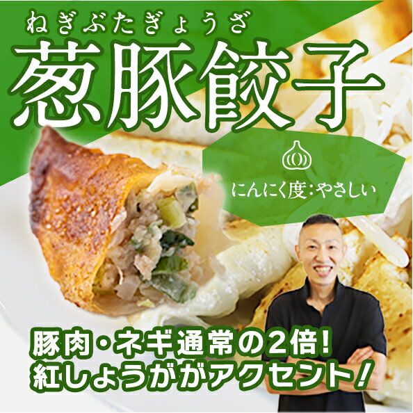 【餃王座グランプリ優勝】浜松餃子の初代しげ　葱豚餃子48個（8個入×6パック） 餃子 ぎょうざ ギョウザ 冷凍 手造り おつまみ おかず お取り寄せグルメ ［ラッピング・のし対応不可］［送料無料］ にんにく度:やさしい