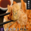 浜松ぎょうざの初代しげ　深夜餃子48個（8個入×6パック） 餃子 ぎょうざ ギョウザ 冷凍 手造り おつまみ おかず お取り寄せグルメ ［ラッピング・のし対応不可］［送料無料］ にんにく度：最強