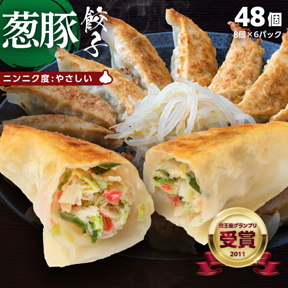 浜松ぎょうざの初代しげ　葱豚餃子48個（8個入×6パック） 餃子 ぎょうざ ギョウザ 冷凍 手造り おつまみ おかず お取り寄せグルメ ［ラッピング・のし対応不可］［送料無料］ にんにく度:やさしい