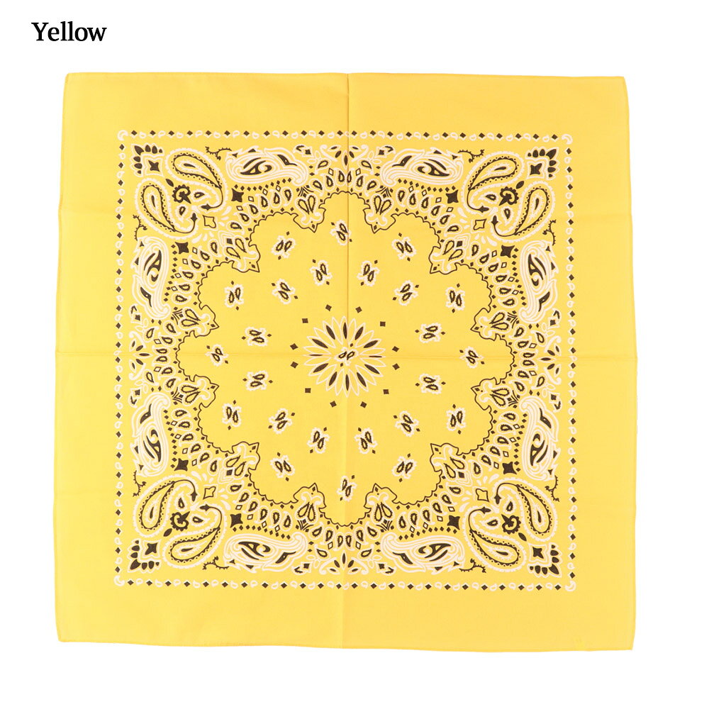 メール便 Rothco ロスコ バンダナ Trainmen Paisley Bandana ペイズリー 綿100％ ...