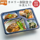 【介護食】冷凍 MFS カロリー制限食B(お試しセット) 6食入り 糖尿病 当日出荷 カロリー制限 カロリーオフ カロリーカット ダイエット食 弁当 惣菜 おか...