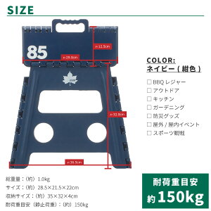 LOGOS ロゴス アウトドアスツール 折りたたみチェア パタントチェア M(ネイビ) 73189301 アウトドア用品 85シリーズ ベンチ 小さい椅子 踏み台 ステップ レジャー キッチン 釣り通販格安セール情報 楽天 通販