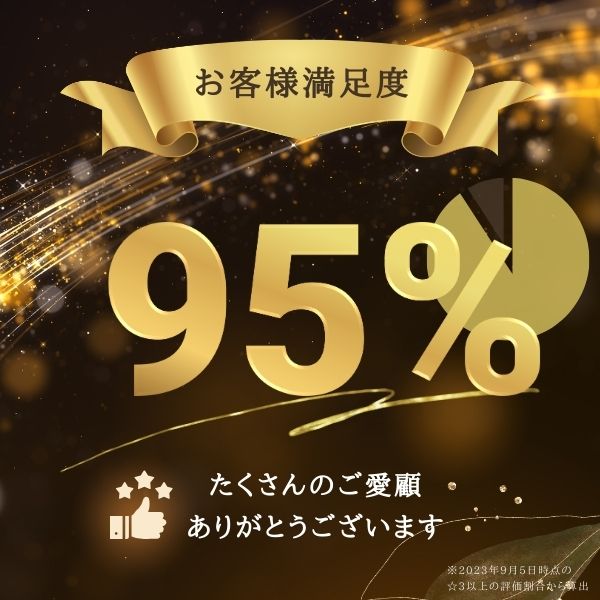 AQUA LADY アクアレディ パンプス レディース A9060 3E 幅広 本革 女性 婦人 オフ...