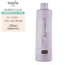 【業務用 カラー剤】ナプラ ナシードカラー オキシ 2.4%(第2剤)1000ml【ナプラ カラー剤 2剤 ナシード カラー 毛染め 染毛料 カラーリング 美容室 プロ専用】