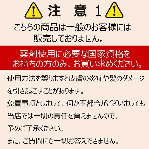 【業務用 カラー剤】フィヨーレ BLカラー ラディーチェ 第1剤 120g (医薬部外品）（1）【フィヨーレ カラー剤 フィヨーレ ヘアカラー】 2