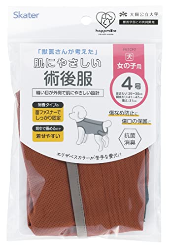スケーター ブラウン ブラウン4号 送料無料