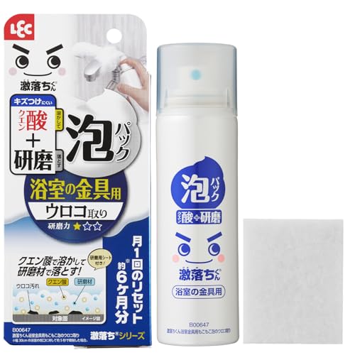 レック 激落ちくん 溶かして落とす 