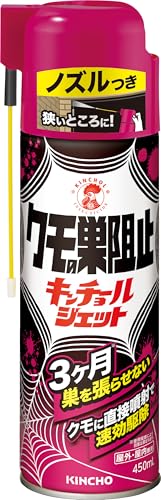 クモの巣阻止 キンチョール ジェット 蜘蛛の巣 作らせない 3ヶ月 蜘蛛よけ 屋内使用可 450mL 送料無料