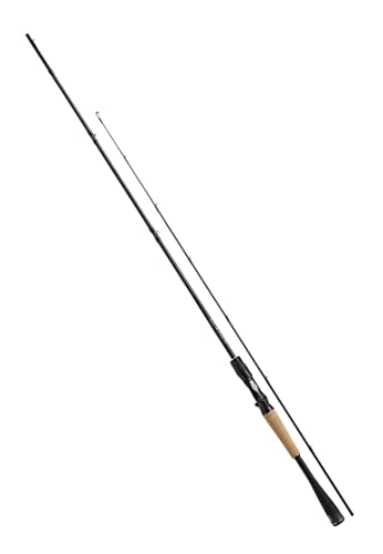 ダイワ(DAIWA) 21 ブレイゾン C67MH-2・FR 2ピース ベイトキャスティングモデル 送料無料