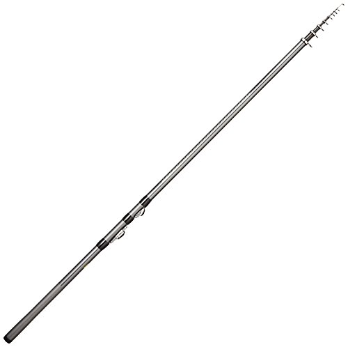 シマノ(SHIMANO) 磯竿 17 ホリデー磯 2号 400 サビキ