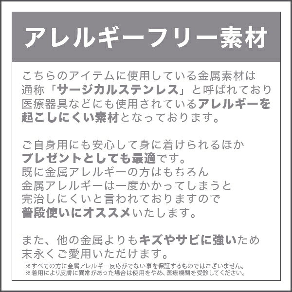 DELUXE DIRECT WEB SHOPのつけっぱなし okシンプル マスク ストラップ 単品販売 ステンレス イニシャル ナンバー 首かけ マスクコード マスクバンド ネックストラップ マスクストラップ 首 アレルギーフリー レディース メンズ Alavel エラベル｜アングル2