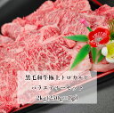 極上 黒毛和牛 トロカルビ バラエティーセット 2kg(250g×8p) 焼肉 BBQ 小分け 国産 和牛 冷凍 デミート