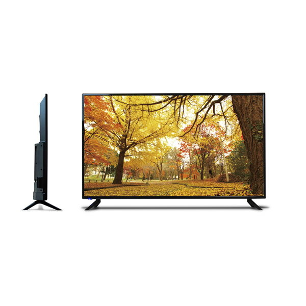 【送料無料】液晶テレビ 55インチ(55型)外付けHDD録画対応 TEES(ティーズ)LE-5530TS