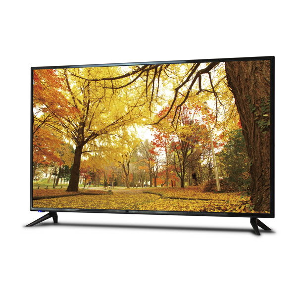 【送料無料】液晶テレビ 55インチ(55型)外付けHDD録画対応 TEES(ティーズ)LE-5530TS