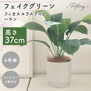 Rilmy インテリアグリーン ハラン フィカス 高さ40cm ナチュラル ナチュラルインテリア フェイクグリーン 観葉植物 ナチュラルインテリア 人工観葉植物...