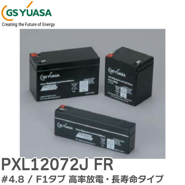 PXL12072J FR ( #4.8 / F1 ) ۼ ΨšĹ̿ PXL꡼ GS楢 ( PXL12072J-4.8 )