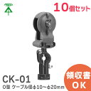 CK-01 y10z ~C P[uJbV[ (bZW[C[p) O^ KP[ua10`20mm ݂萔1 H ( MIRAI )