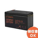 JC12-12 電菱 ( DENRYO ) 密閉型鉛蓄電池 12V12Ah (20時間率) JCシリーズ 【T2端子 (位置 P2) 】 DENRYO BATTERY【キャンセル返品不可】【時間指定不可】