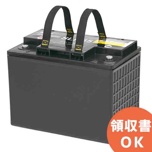 【受注品】SLH65 GSユアサ SLHシリーズ 小型電動車用制御弁式鉛蓄電池 12V65Ah＜SEB65後継＞【代引不可】【キャンセル返品不可】【時間指定不可】