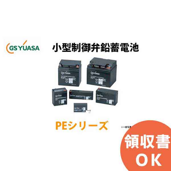 PE12V40 GSユアサ製 小形制御弁式 鉛蓄電池 PEシリーズ │ GSユアサ ユアサ 【代引不可】 (取寄送料含む）【キャンセル返品不可】【時間指定不可】【受注品】