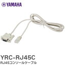 YRC-RJ45C RJ45R\[P[u YP2N061140 ʐM@ƃp\RȂǂVAڑ }n ( YAMAHA )