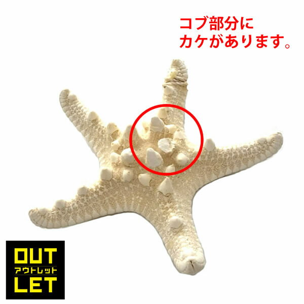 ��ʡ�ޡ�2026ǯ �ڥ����ȥ�åȡۥޥ�� ������ 10���ʾ� �������ե��å��� ���֥ҥȥ� ������ܥȥ� ���� �������� ���㥤�� �ȥ쥤 ��ʪ ���ԥ� �ͷ� �������󥢥��ƥ� �� �� ���ޡ�