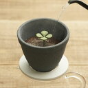 kinome 木の芽 コーヒードリッパー 2〜4人分 四つ葉 セラミック製 コーヒーフィルター ドリップ キノメ 珈琲 陶器 おしゃれ 紙フィルター不要 エコ ...