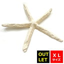 まとめ買い【送料無料】【訳あり】【アウトレット】マリンEB スターフィッシュ XLサイズ ビッグサイズ ヒトデ ディスプレー インテリア 雑貨 夏 マリン リゾ...