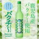 【期間限定 20%OFF】パクチーすぴりっと 500ml パ...