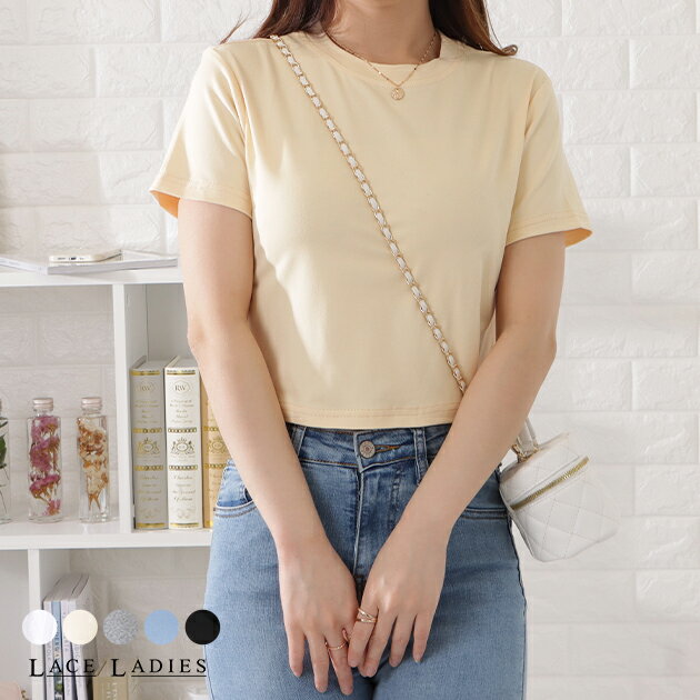 ベーシッククロップド半袖カラートップス レディース 女性 半袖 カットソー Tシャツ カジュアル 春 夏 きれいめ ヘルシー 肌見せ クロップド丈 コンパクト 短め ショート トレンド ハイウエスト ワイドボトム シンプル 無地 スポーツ アクティブのサムネイル