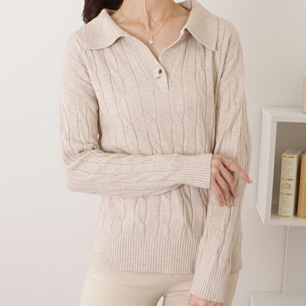 ケーブル柄衿付きニットプルオーバー 女性 レディース トップス セーター 秋 冬 ウォーム感 編み柄 ゆったり 上品 エレガント こなれ感 重ね着 着回し 単色 ベーシック あったか レトロ カジュアル きれいめ デイリー 普段着