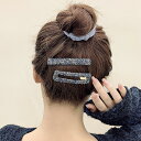 【2点セット】ビジュー ヘア クリップ & スリーピン 女性 レディース ヘアアクセサリー 春 夏 秋 冬 可愛い ガーリー キュート お嬢様 定番 ベーシック...
