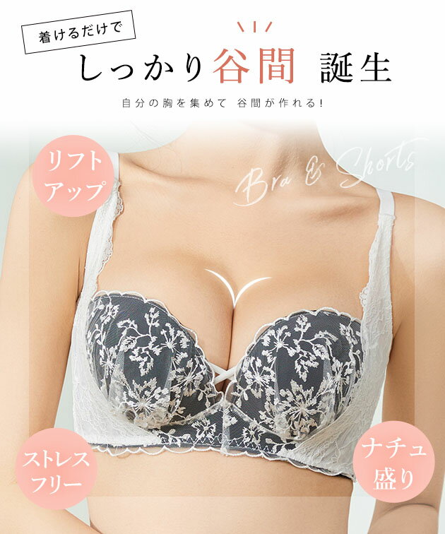 シアー ドッキング フロント クロス ブラジャー&ショーツ セット 女性 レディース 下着 肌着 ブラ パンツ 春 夏 秋 冬 花 フラワー レース 上品 大人 単色 可愛い 華やか 繊細 フェミニン レトロ クラシカル 3/4 セクシー