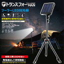 dengumarket:10000205のサンプル画像2