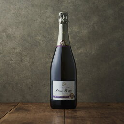 LOUISE BRISON (ルイーズブリゾン) ミレジメ 2014 BRUT ブリュット ヴィンテージ シャンパーニュ 750ml 【白肉 魚 フルーツ】 LOUISE BRISON (ルイーズブリゾン) ミレジメ 2014 BRUT ブリュット ヴィンテージ シャンパーニュ 750ml 【白肉 魚 フルーツ】