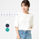 【2BUY10%OFFクーポン対象 ~7/27まで】【夏物セール品再値下げ!!】【公式】【40%OFF】Sweet Camel スウィートキャメル ハーフスリーブTシャツ レディース トップス 半袖 Tシャツ オフホワイト ネイビー ピーコックグリーン シンプル ドライタッチ SCT139 母の日 ギフト
