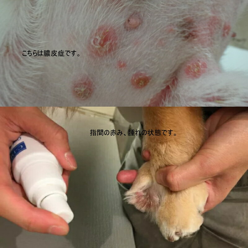 C-DERM �����ǥ����� �����륹�ݥåĥ��ץ졼S������58ml ��ŹĹ�������ᡪ�¿���ǯ��̵�١��ۡ�12���ޤǤθ���ʸ������ȯ�����ۡڤ������ͤǿ����21��ǯ��