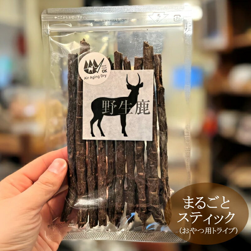 【セット販売】ゴン太のササミジャーキー じゅわり魅惑のテリヤキ味 10枚×2コ