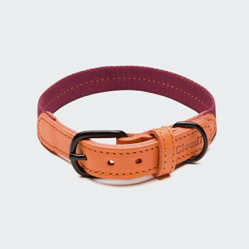 Cloud7 クラウド7 Dog Collar Madeira Papaya Size S ドッグカラー マデイラ パパイヤ 首輪 犬用 革 海外直輸入 ドイツ製 ヨーロピアンレザー 洗濯可能【送料無料 安心の年中無休 】【おかげ様…