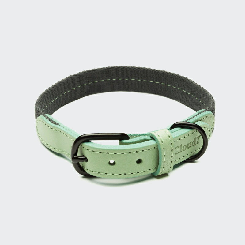 Cloud7 クラウド7 Dog Collar Madeira Mint Size XL ドッグカラー マデイラ ミント 首輪 犬用 革 海外直輸入 ドイツ製 ヨーロピアンレザー 洗濯可能【送料無料！安心の年中無休！】【おかげ様で信頼の20周年】