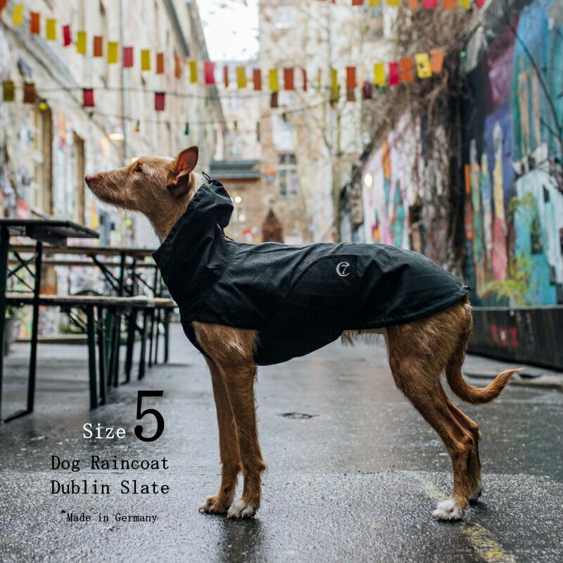 Dog Raincoat Dublin 犬用レインコート ダブリン Size 5 Slate スレート色 犬 レインコート 撥水 Cloud7 クラウド7 【数量限定！送料無料！】【ドイツ製最新技術リサイクル素材】