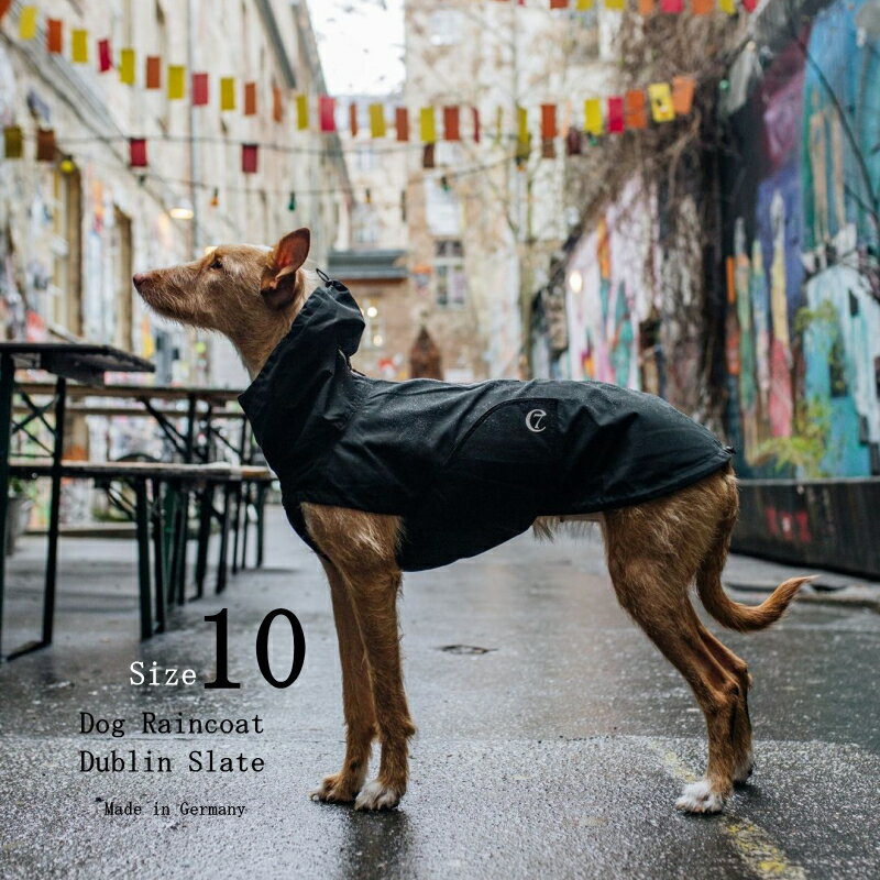 Dog Raincoat Dublin 犬用レインコート ダブリン Size 10 Slate スレート色 犬 レインコート 撥水 Cloud7 クラウド7 【数量限定！送料無料！】【ドイツ製最新技術リサイクル素材】