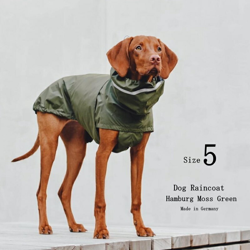 Dog Raincoat Hamburg 犬用レインコート ハンブルク Size 5 Moss Gr ...