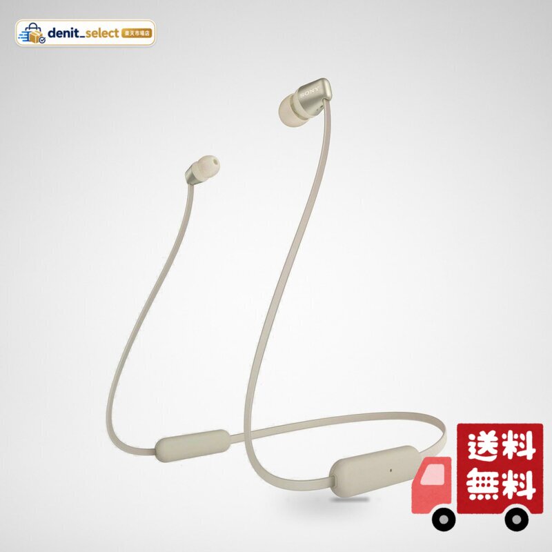 楽天市場】sony wi-c310の通販